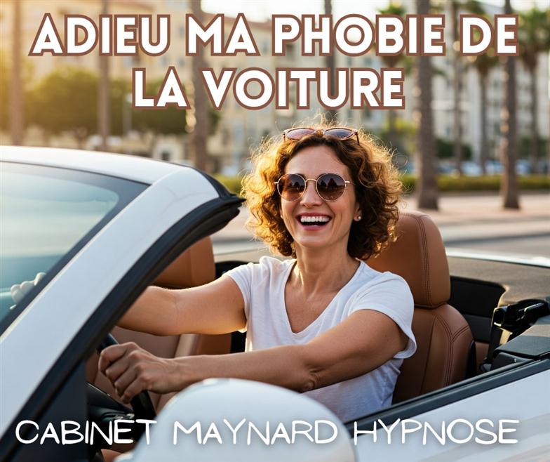 phobie_peur_transports_avion_voiture_vomissement_sang_foule_insectes_araigne_serpents_chiens_noir_nuit_parole_spectacles